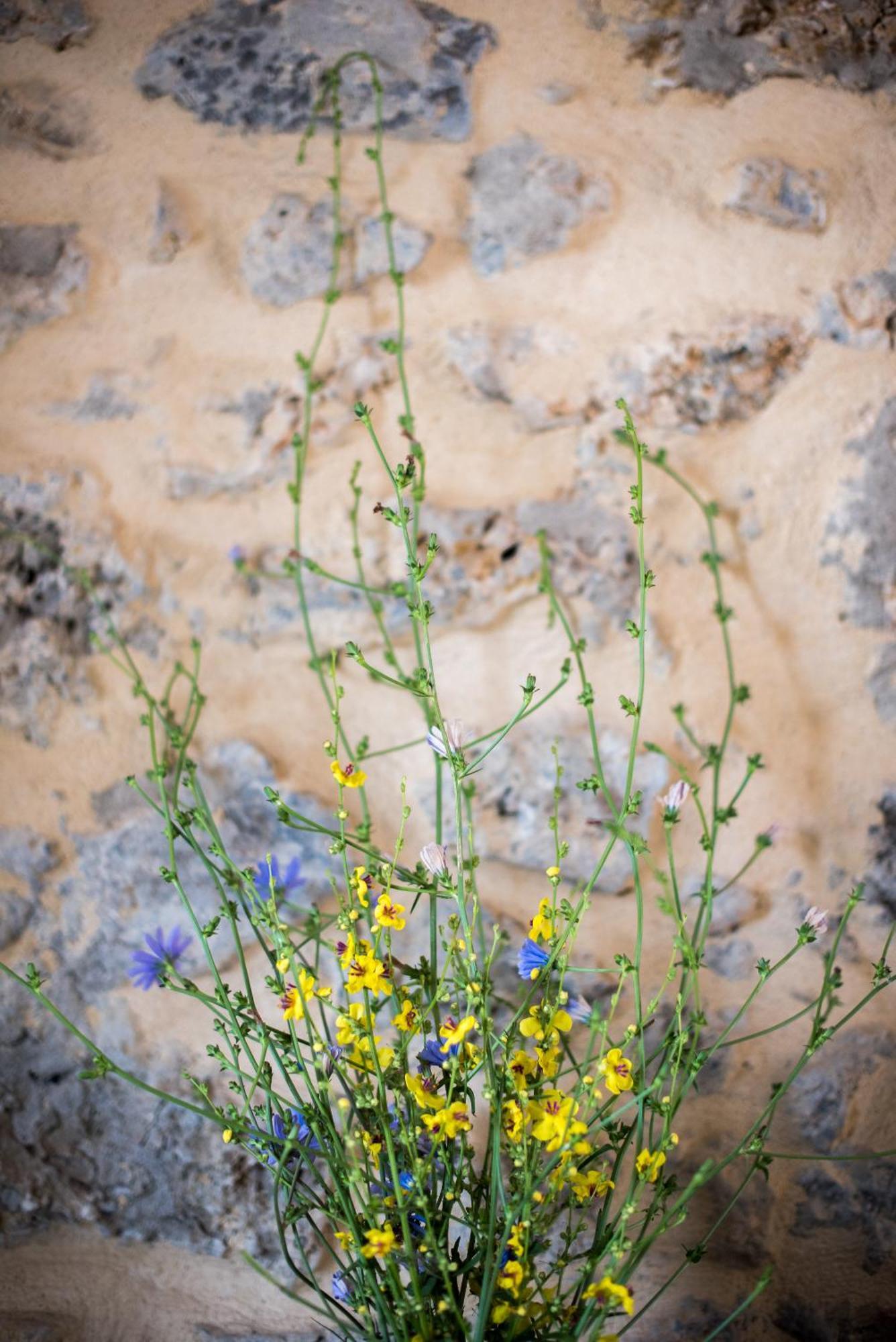 Tognazza Agriturismo Casalino18 מראה חיצוני תמונה