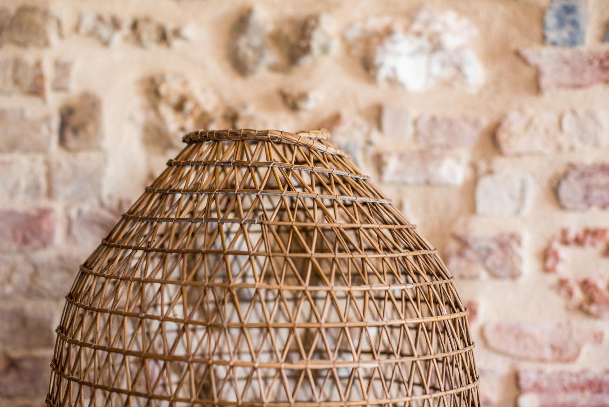 Tognazza Agriturismo Casalino18 מראה חיצוני תמונה